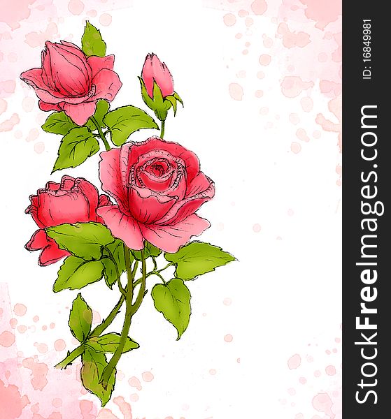 Watercolor background with drawing of red rose
