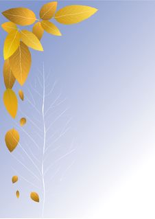 Autumn Leaf Fall Royalty Free Stock Image Autumn Leaf Fall Royalty Free Stock Image