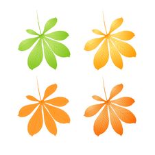 Autumn Chestnut Leafs Stock Photos Autumn Chestnut Leafs Stock Photos
