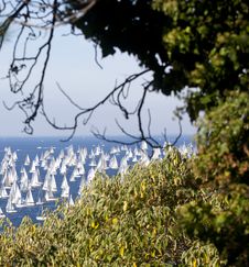 Barcolana, The Trieste Regatta Stock Photo Barcolana, The Trieste Regatta Stock Photo