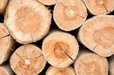 Free Wood Lumber Background Royalty Free Stock Photo - 16859155