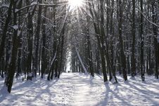 Winter Day Stock Photo Winter Day Stock Photo