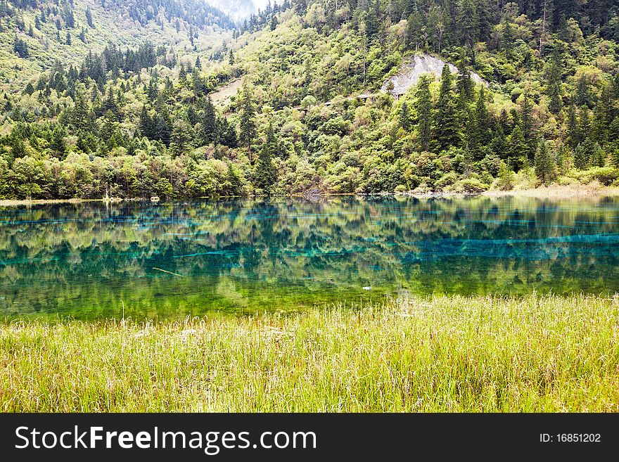 Wuhua lake in  autumn in jiuzhaigou,china