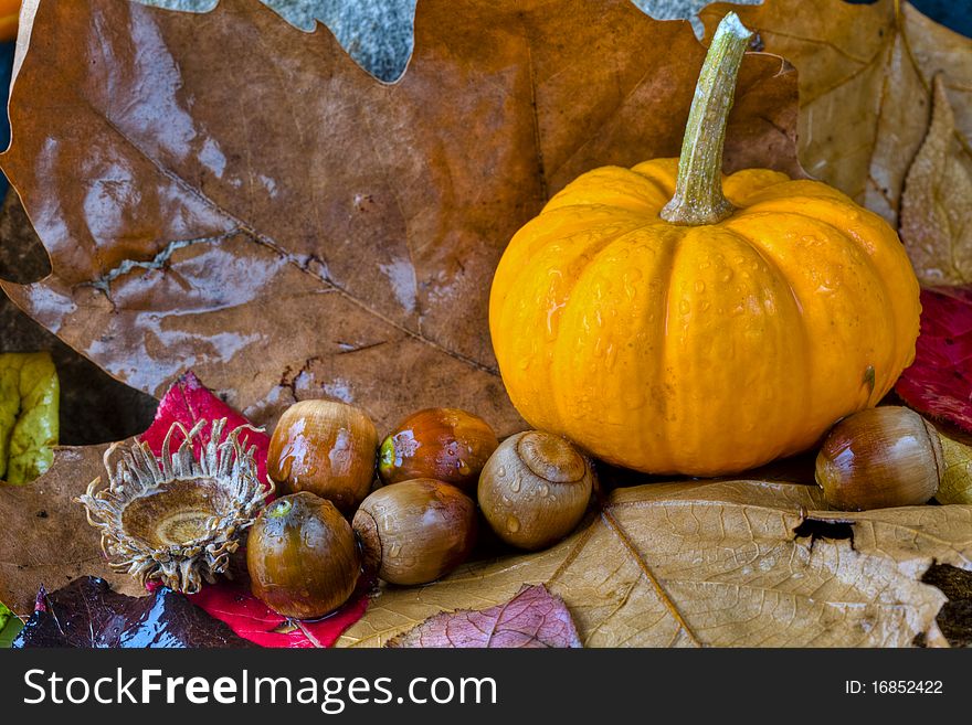 Autumn still life with pumpkins and acorns on fall leaves. Autumn still life with pumpkins and acorns on fall leaves