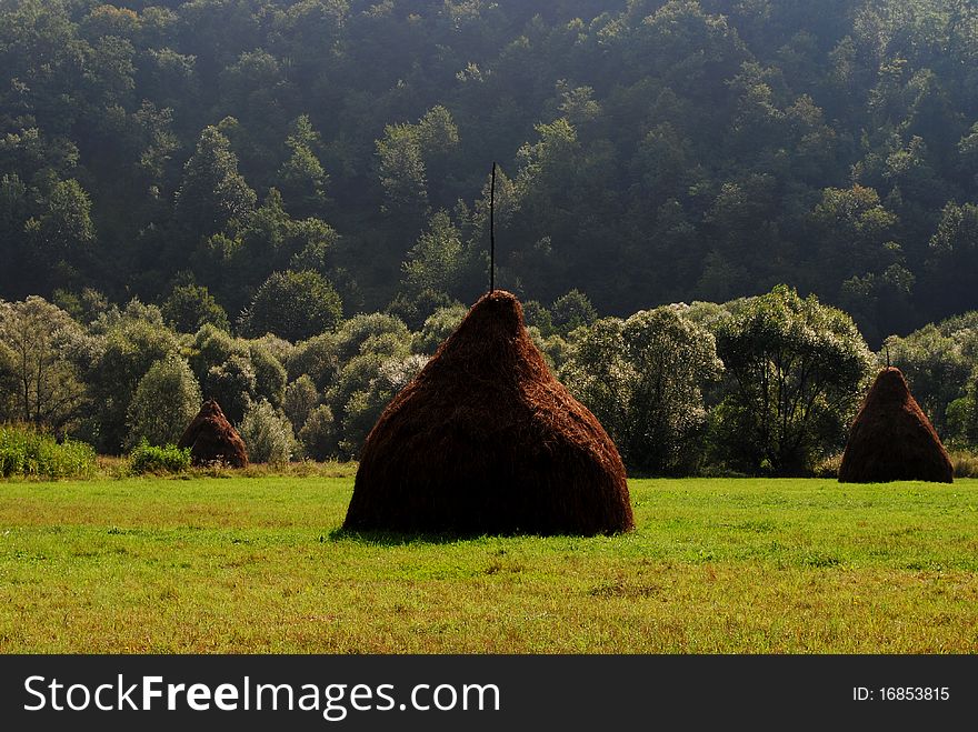 Three haycocks on green grass with a mountain in the background. Taken at Cheile Nerei in Romania