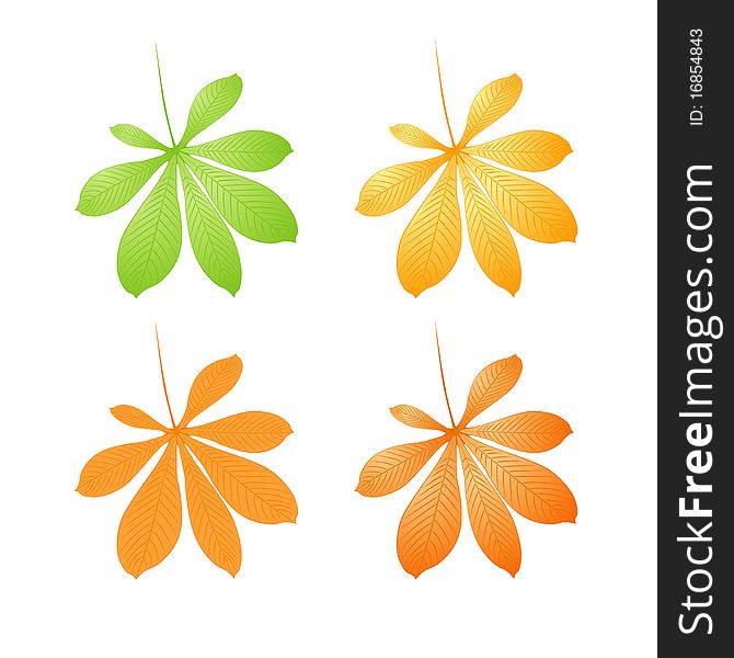 Vector set of autumn chestnut leafs