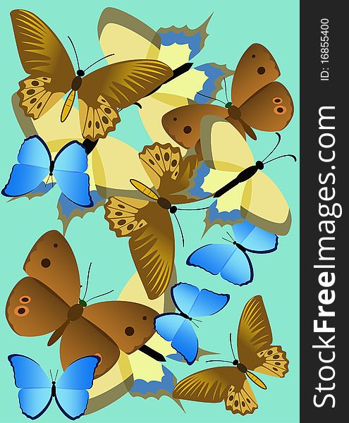 Multicolored butterflies are shown in the picture. Multicolored butterflies are shown in the picture.