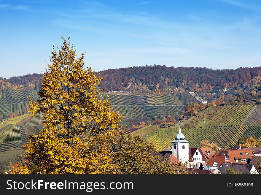 Vineyard in the fall, overlooking the village Rotenberg. Vineyard in the fall, overlooking the village Rotenberg