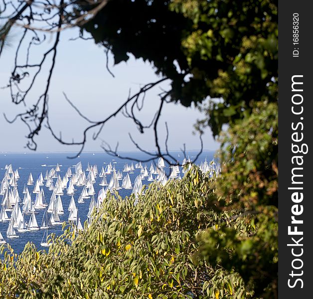 Barcolana, the regatta of Trieste. Barcolana, the regatta of Trieste