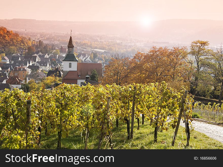 Vineyard - Uhlbach