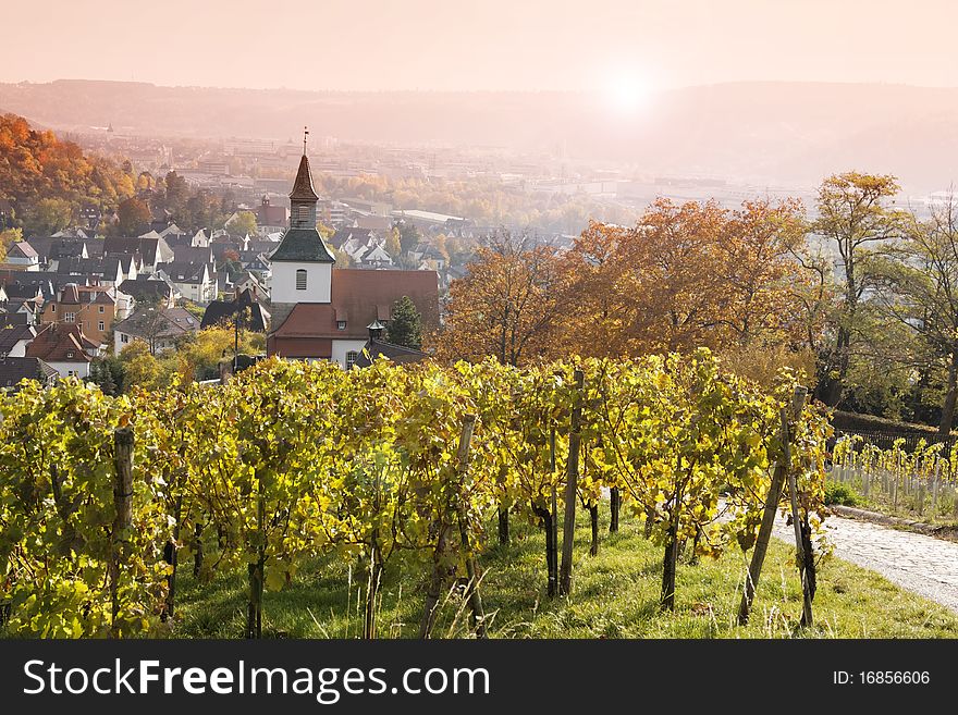 Vineyard in the fall, overlooking the village Uhlbach. Vineyard in the fall, overlooking the village Uhlbach