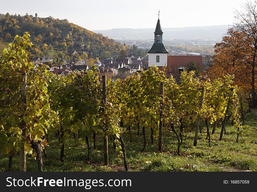 Vineyard in the fall, overlooking the village Uhlbach. Vineyard in the fall, overlooking the village Uhlbach