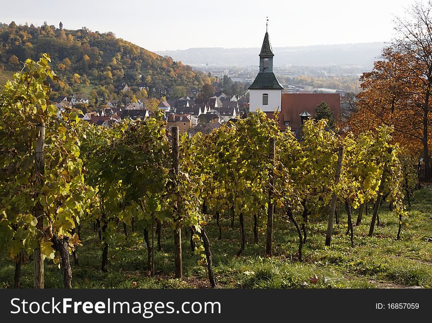 Vineyard - Uhlbach