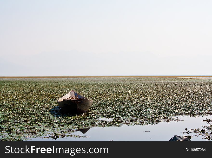 Boat in water lilies, National park