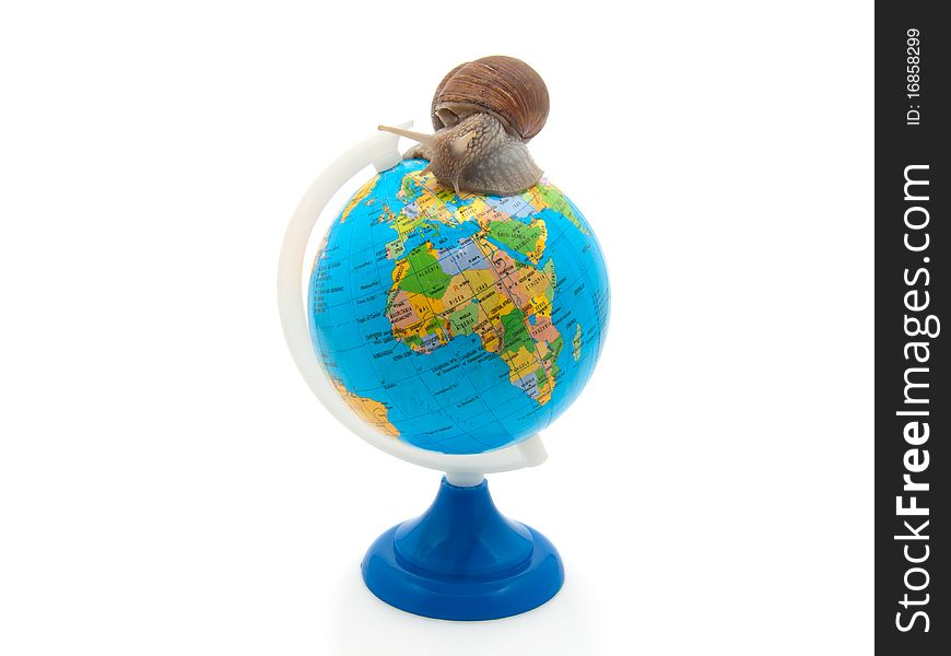 The Snail Creeps On The Globe