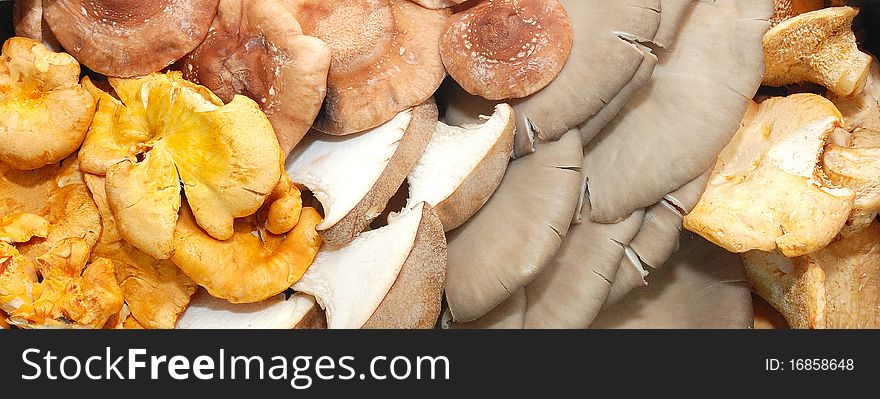 Some different color mushrooms together