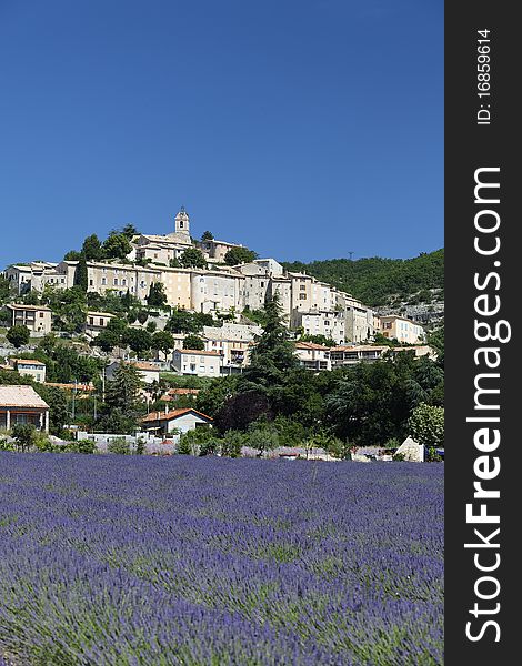 Lavender, town and blue sky in France
