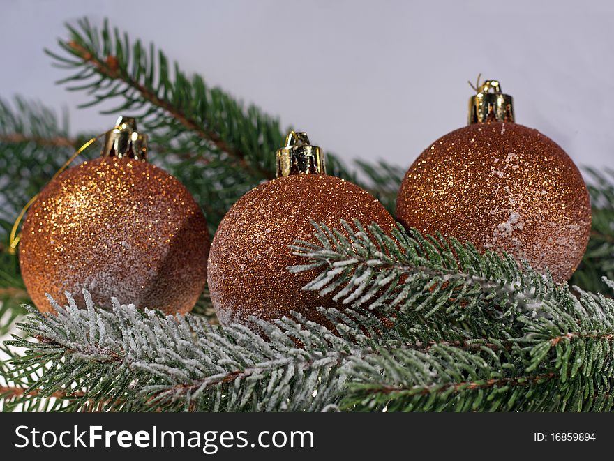 Christmas decoration, bronze christmas balls on spruce branch