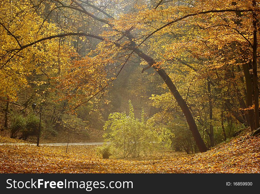 Last days of autumn in park