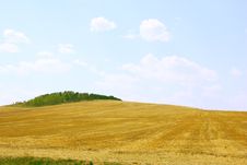 Yellow Field And Blue Sky. Stock Image Yellow Field And Blue Sky. Stock Image