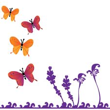 Butterfly Royalty Free Stock Photos Butterfly Royalty Free Stock Photos
