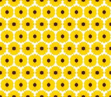Yellow Flowers Background Royalty Free Stock Photos Yellow Flowers Background Royalty Free Stock Photos