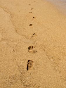 Footprints On The Beach Stock Photo Footprints On The Beach Stock Photo