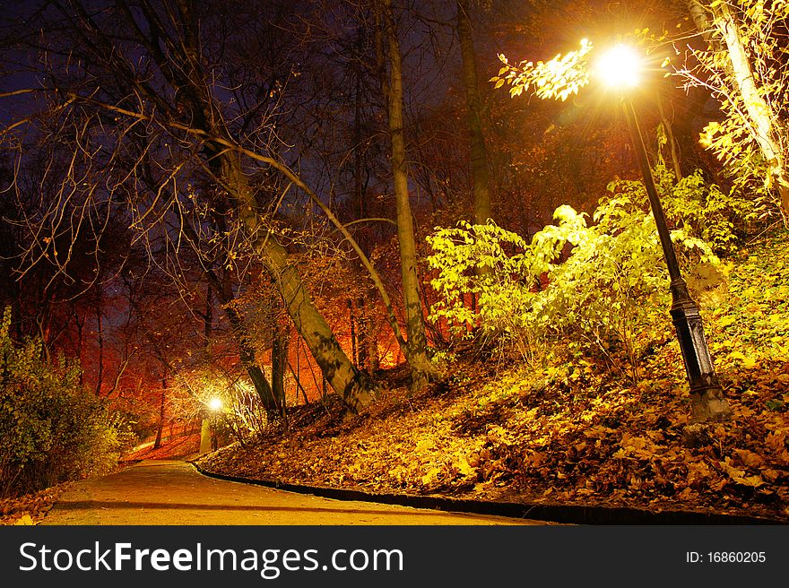 Park in the autumn season at night
