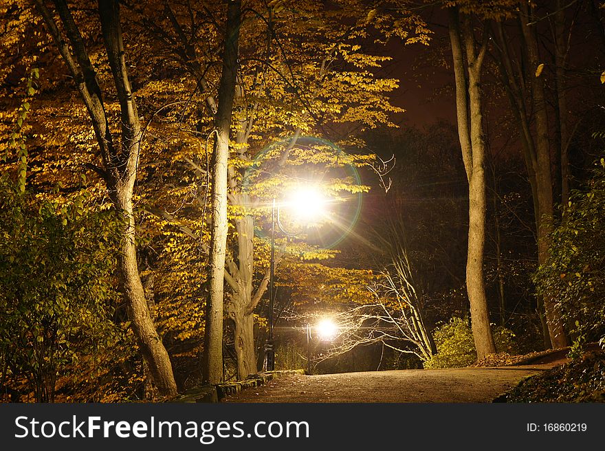 Park in the autumn season at night