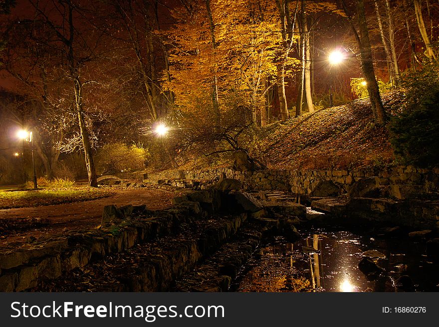 Pond in autumn park at night