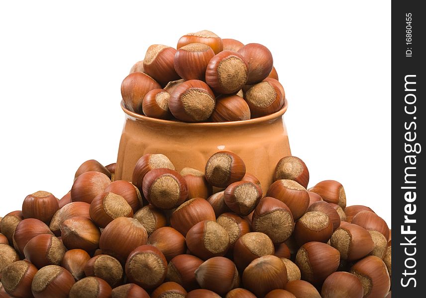 Close up of hazelnuts scattered around the jug isolated on white