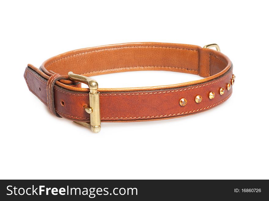 Brown leather collar with rivets isolated over white background