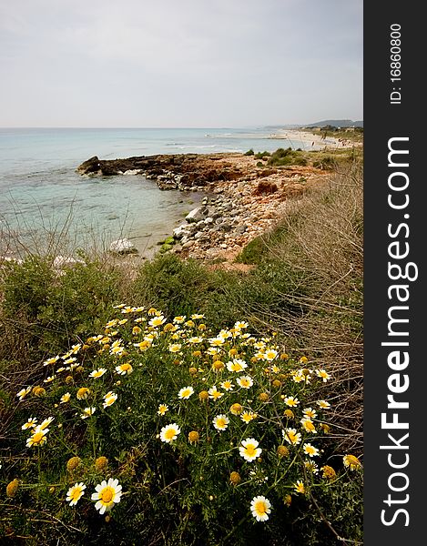 Menorcan Shoreline