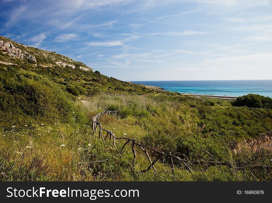 Menorcan Landscape