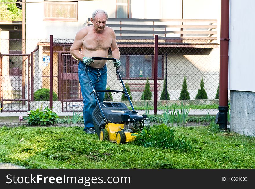 Man cutting the grass with the mower