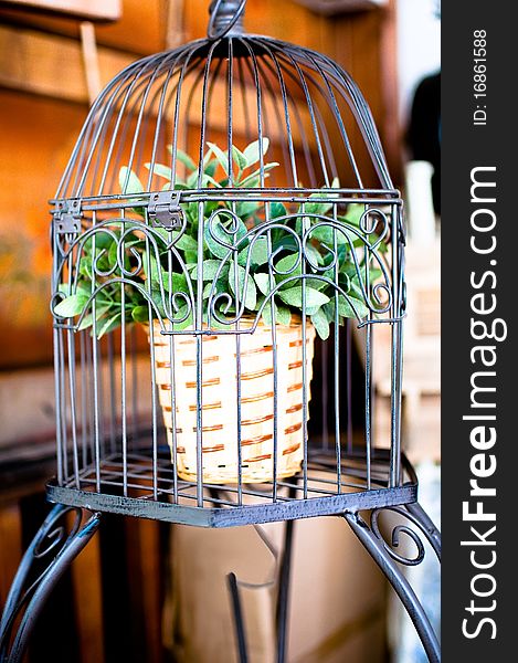 Potted plant grows in a birdcage . Potted plant grows in a birdcage .