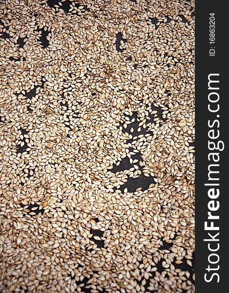 Seeds, Seed grain, texture background