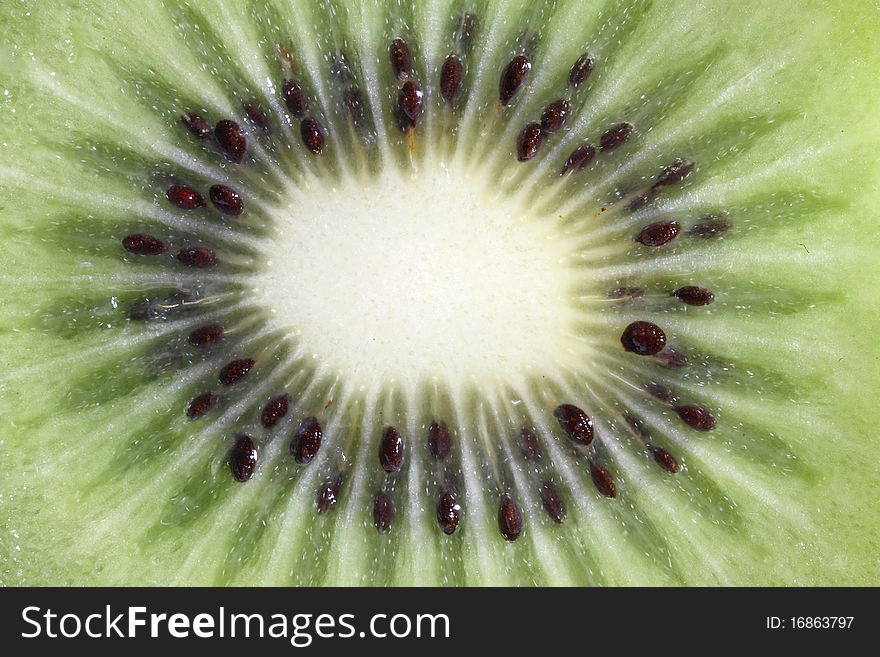 Fruit kiwi isolated in close up macro isolated