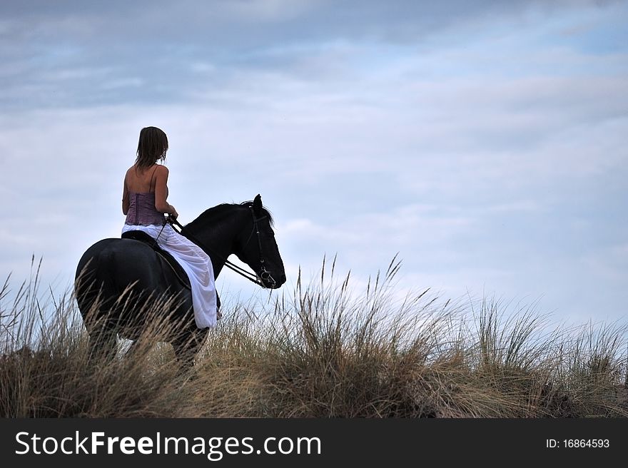 Young woman and her black stallion in a field. Young woman and her black stallion in a field