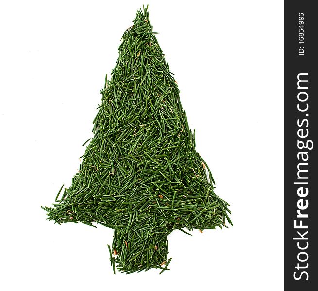 Green tree of the needles on a white background