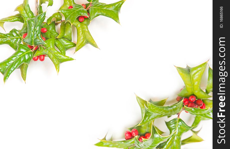 Christmas framework with holly berry isolated on white background. Christmas framework with holly berry isolated on white background