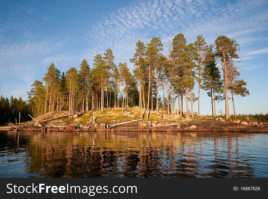 Summer evening in the north. island with the trees lit up the evening sun light