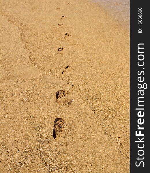 Footprints on the beach sand