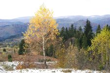 Autumn In Carpathian Mountains Royalty Free Stock Images Autumn In Carpathian Mountains Royalty Free Stock Images