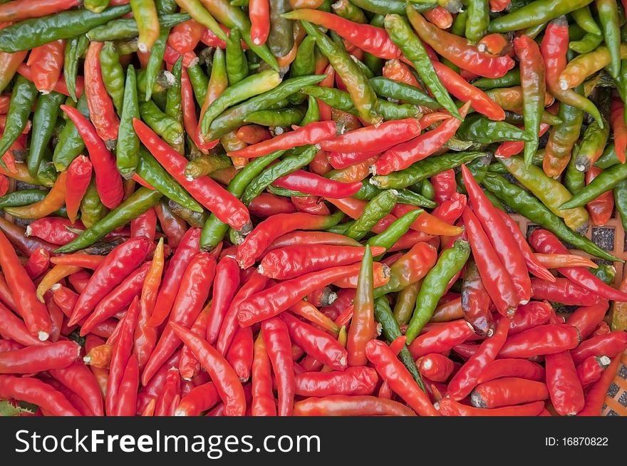 Red and green color chili. Red and green color chili