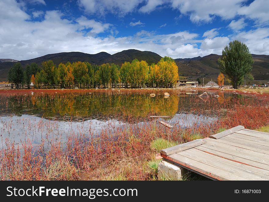 Red grass lake with reflection. Red grass lake with reflection