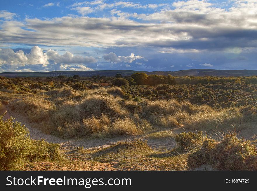 Pool's moor area