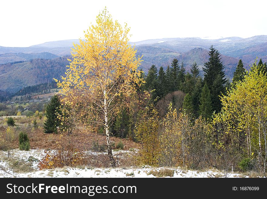 Beautiful autumnal view of Carpathian Mountains. Ukraine. Beautiful autumnal view of Carpathian Mountains. Ukraine