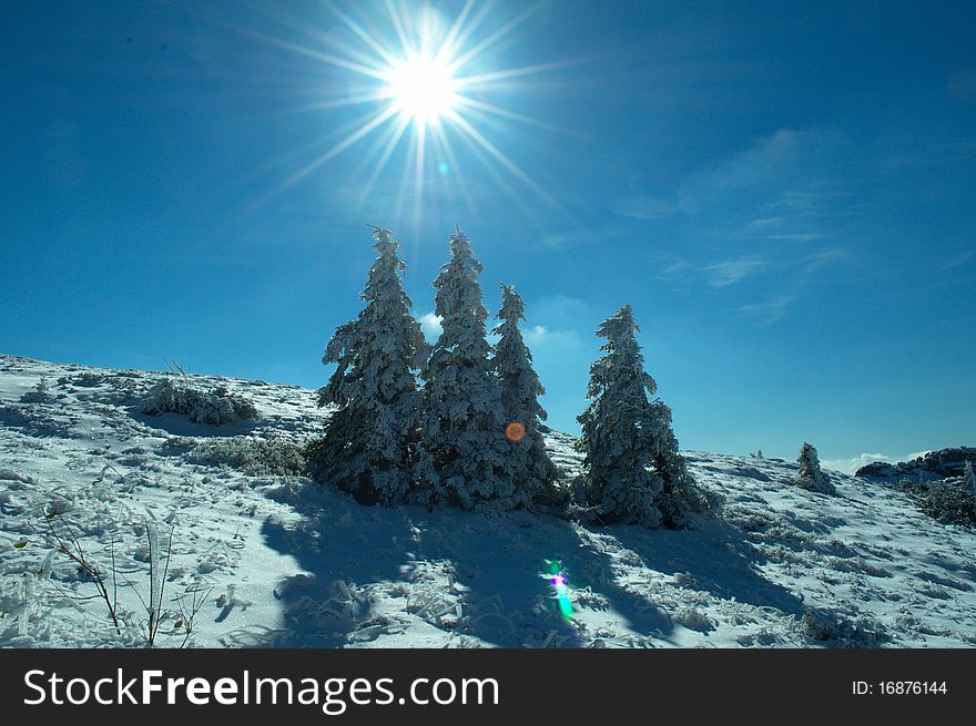 Sunny day on winter in mountains. Sunny day on winter in mountains