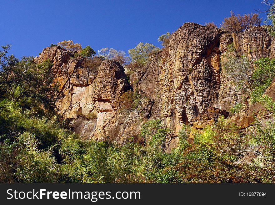 Landscape of cliffs and trees in Mali. Landscape of cliffs and trees in Mali